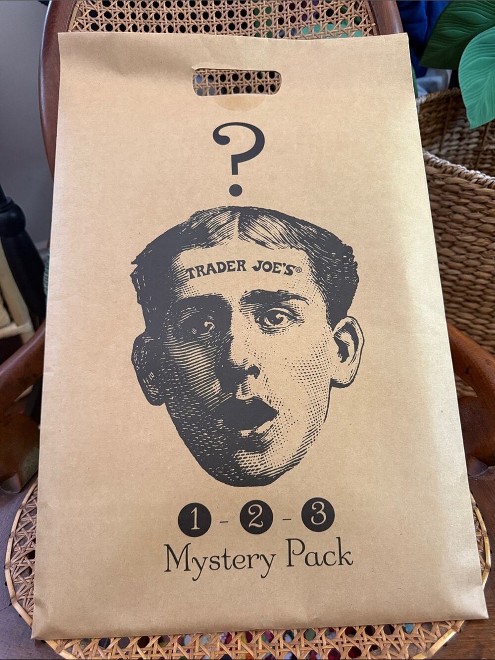 NIP Trader Joe’s Collectible Mystery Bag Reusable Tote Package